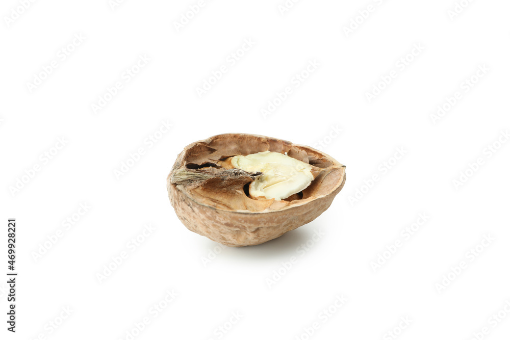 Walnut isolated on white background, close up Walnut isolated on white background, close up