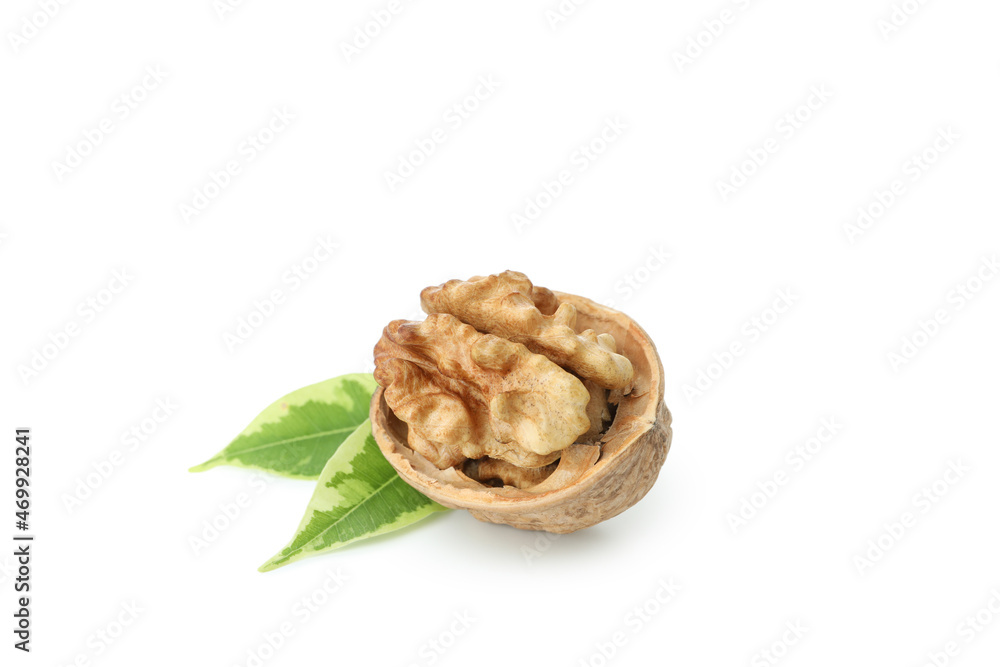 Walnut isolated on white background, close up Walnut isolated on white background, close up