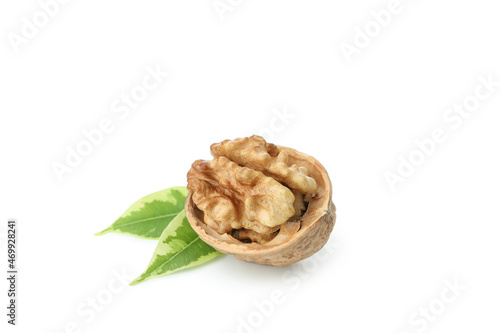 Walnut isolated on white background, close up