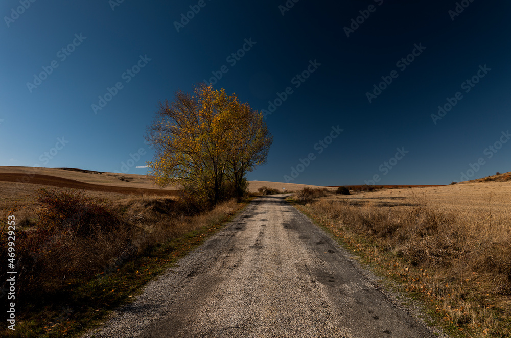 Landscape of a country road in autumn against sky. Shot in Castilla y Leon, Spain