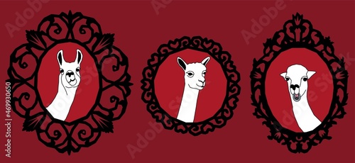 Vector portraits of llamas Funny illustrations of alpacas