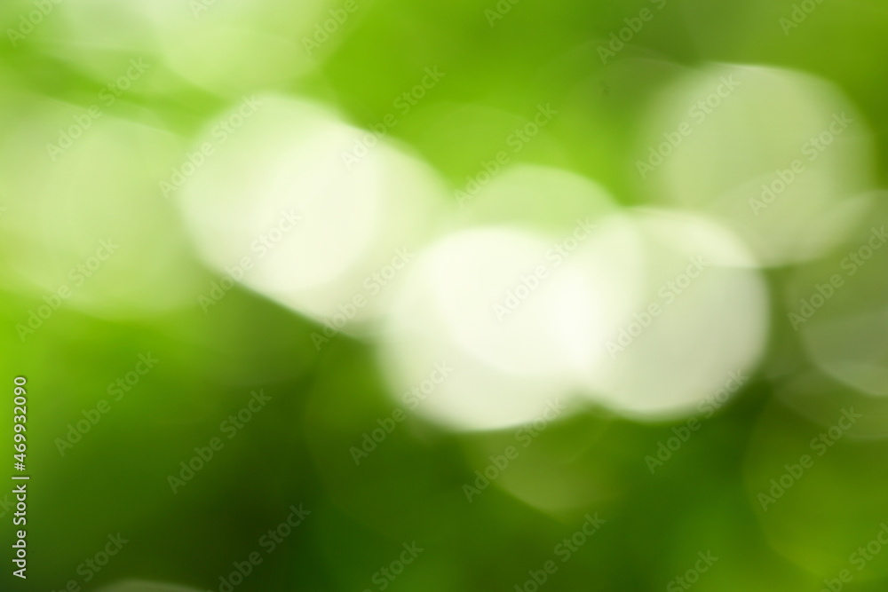 Obraz premium Freshness concepts background., nature abstract backdrop.