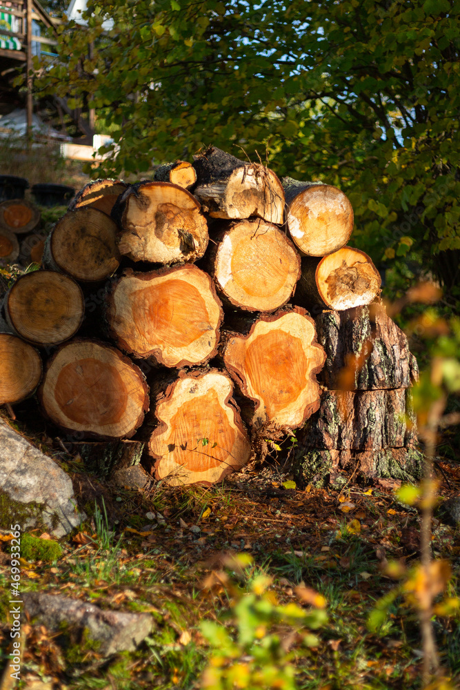 Sawn timber of a tree stacked in a pile. Sunny background. Outdoor.