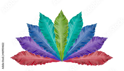 Decorative leaves, a variety of beautiful colors isolated on a white background