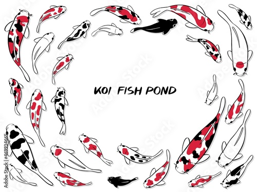 hand drawn illustration of koi fish.