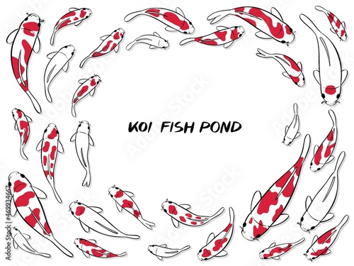 hand drawn illustration of koi fish.