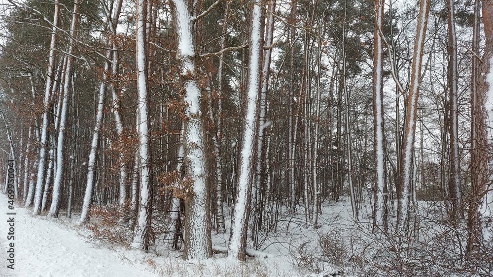 landschaft landschaft