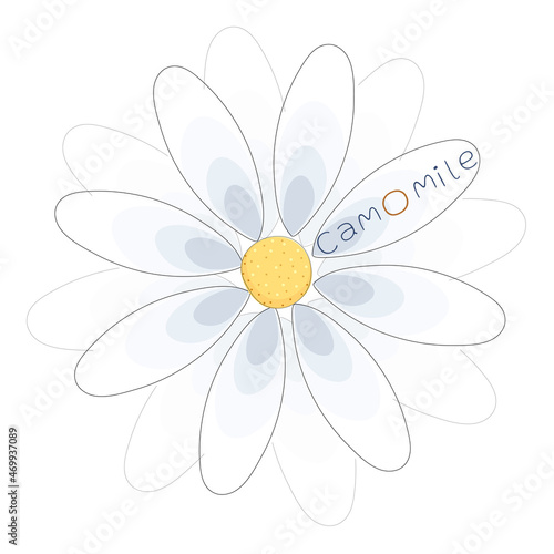 camomile daisy flower yellow white blue green logo sign text