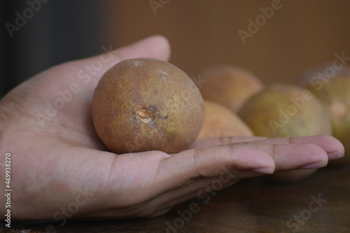 Manilkara zapota, commonly known as sapodilla, sapota, chikoo, chico, naseberry, or nispero, Sawo is a long lived, evergreen tree and sweet fruit.