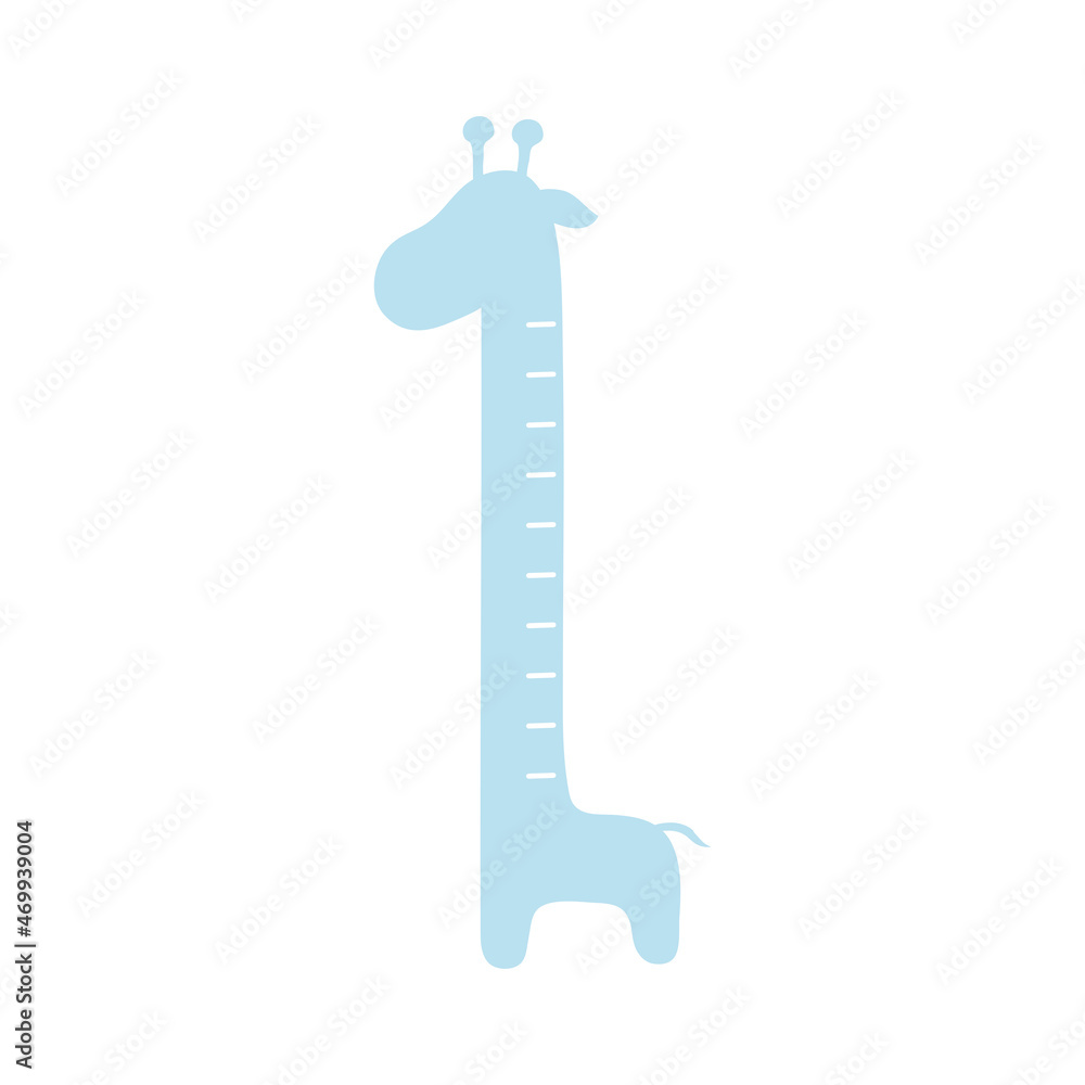 Obraz premium height measure giraffe