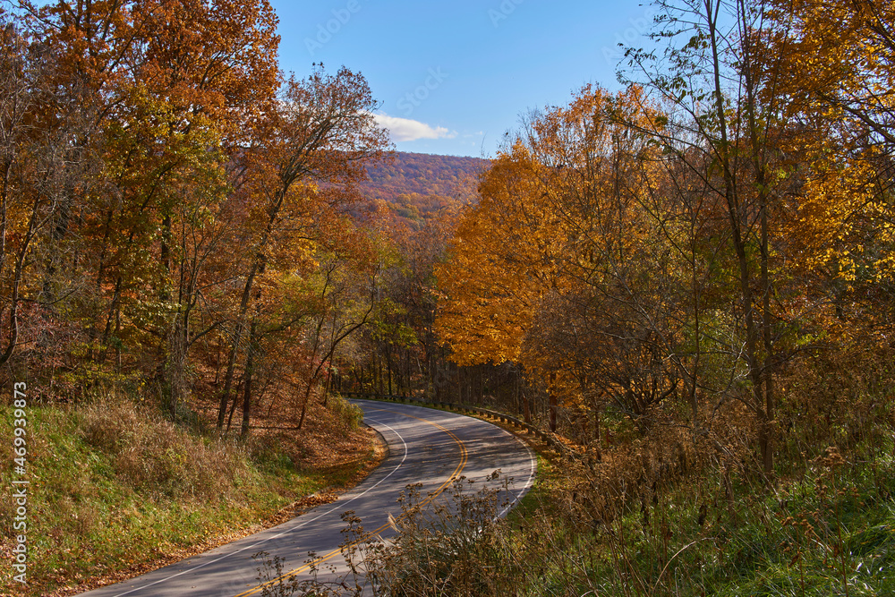 Fall Road