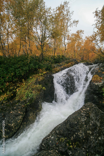 Mountain river in the Caucasus Mountains  Arkhyz  Russia.