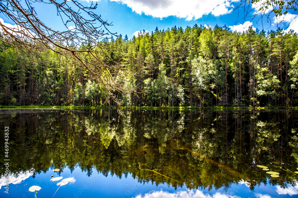eflections of the forest and sky in the black lake in summer