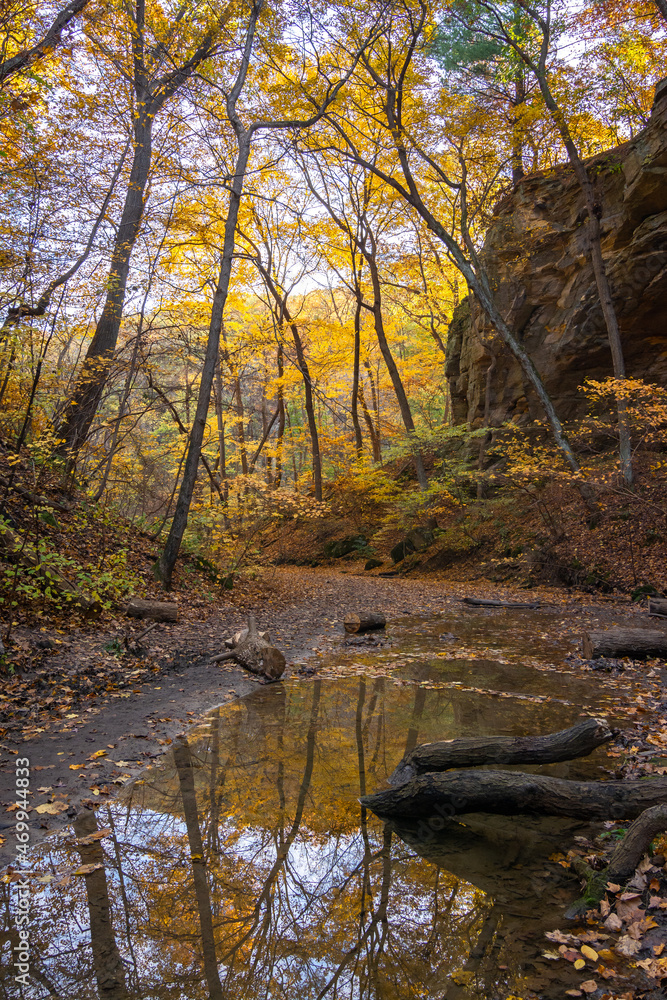 Fototapeta premium Fall reflection in Ottawa canyon. Starved Rock state park, Illinois.