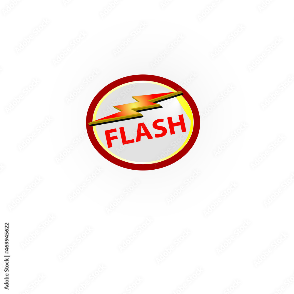 Flash Logo