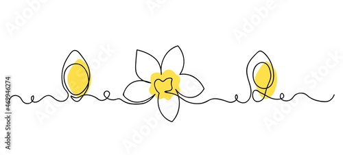 Plumeria tropical flower drawn by continuous line. Vector illustration