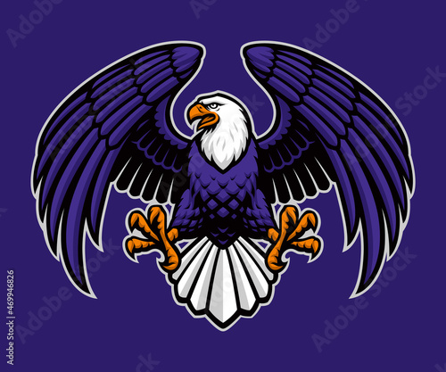 Vector Eagle Mascot, this design can be used as a sports emblem photo