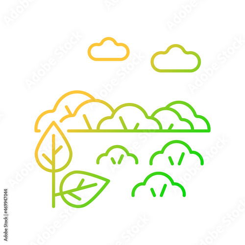 Shrubland gradient linear vector icon. Scrubland. Bush growing area. Land type with shrub. Bushwood rocky terrain. Thin line color symbol. Modern style pictogram. Vector isolated outline drawing