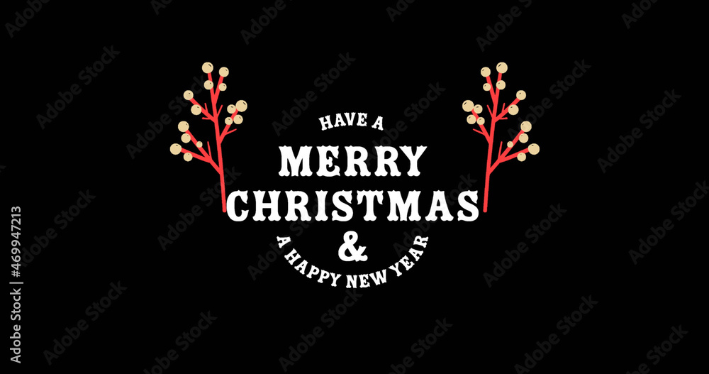 Image of merry christmas text on black background