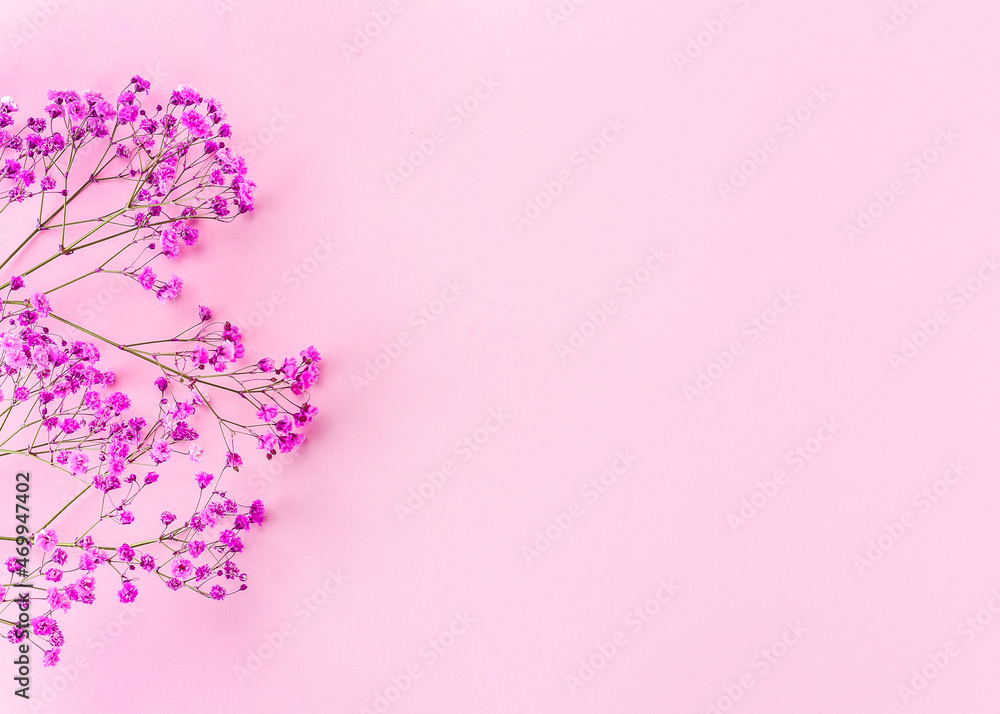 round frame wreath pattern with gypsophila flower, pink flower buds, branches and leaves on light pink background. flat lay, top view