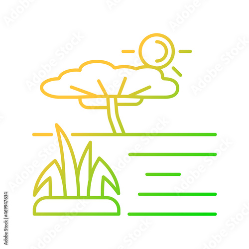 Savanna gradient linear vector icon. African grassland and woodland. Plain tropical land with separated trees. Thin line color symbol. Modern style pictogram. Vector isolated outline drawing