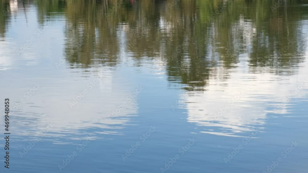 Forest trees and sky are seen as a reflection on the water of a pond with a breeze blowing ripples on the surface of water Forest trees and sky are seen as a reflection on the water of a pond with a breeze blowing ripples on the surface of water