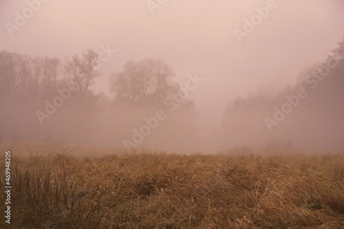  A thick fog rises over the river on a cloudy November day. © FO_DE