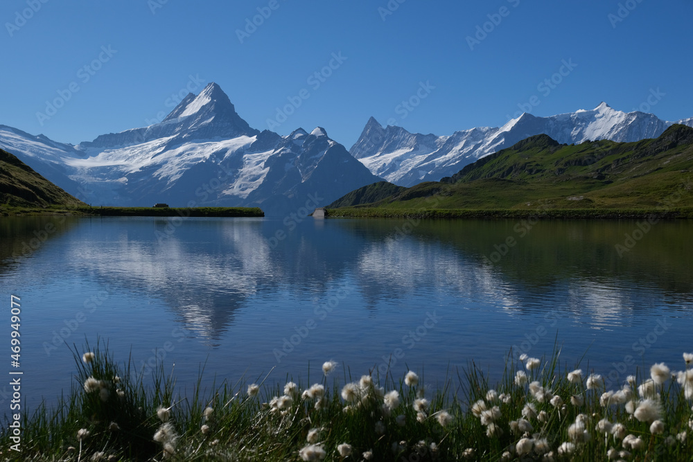 Bachalpsee; Schweiz, Grindelwald, Wetterhorn, First, Faulhorn