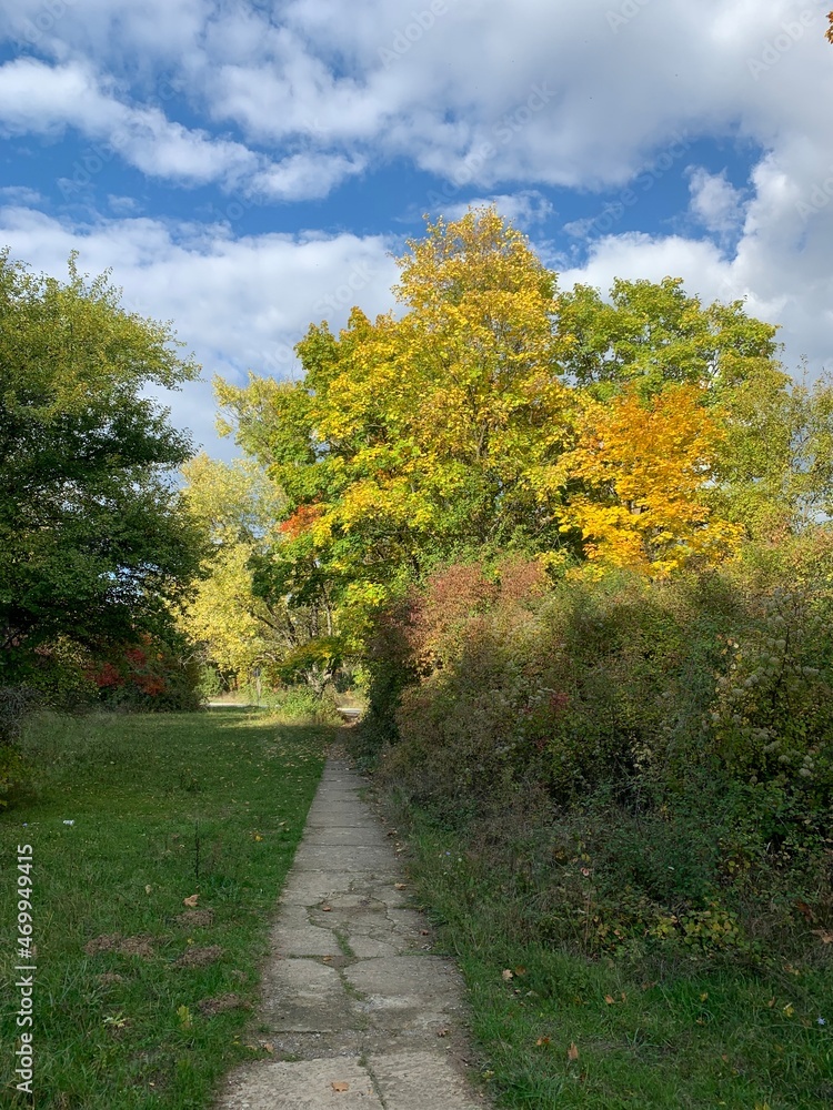 Obraz premium narrow pathway to the park, autumn trees, natural colors