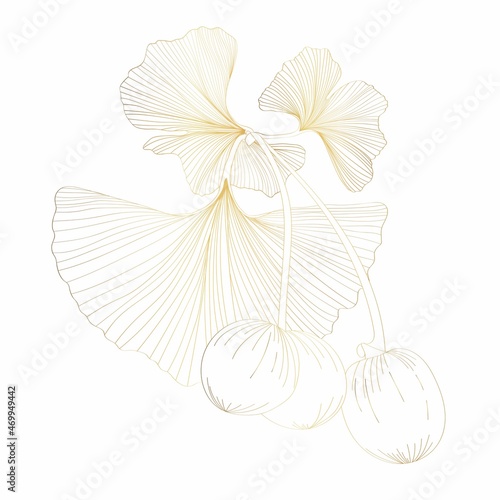 Ginkgo or Gingko Biloba golden branch with leaves and berries. Nature botanical gold illustration, decorative metal graphic isolated over white.