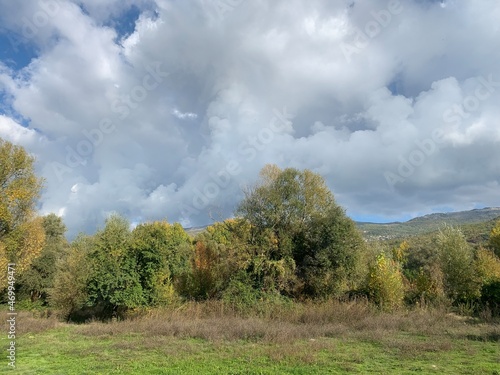 autumn trees on the field, green mountains background, cloudy sky