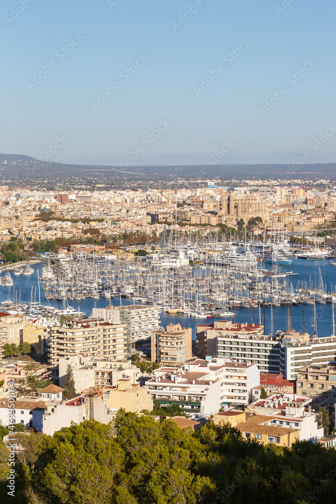 Palma de Mallorca marina harbor port with boats travel traveling holidays vacation portrait format in Spain