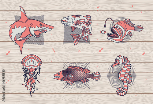 Abstract fish and sea life illustration
