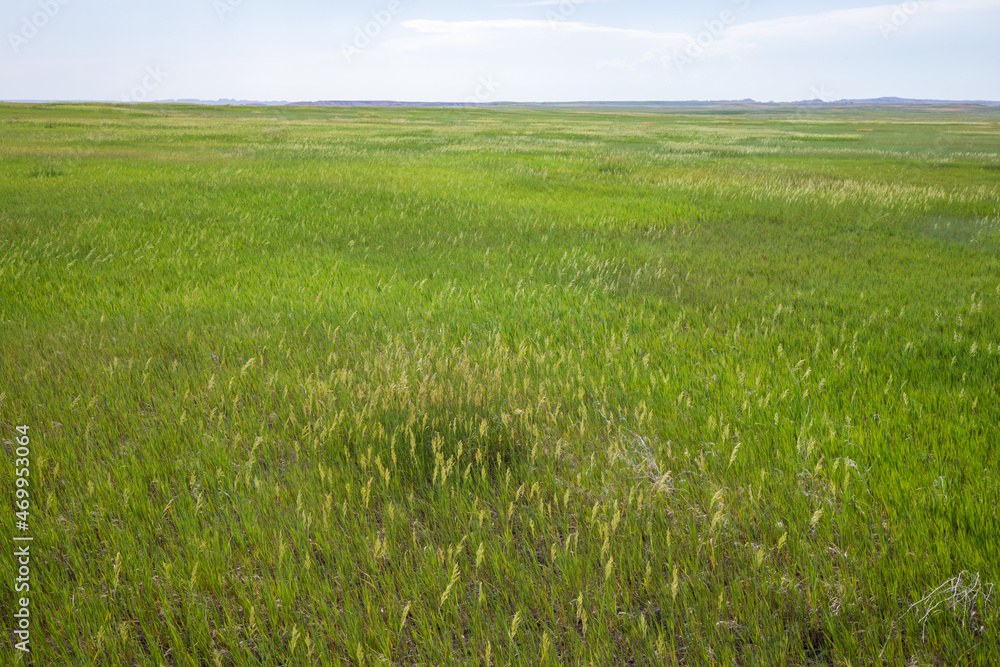 Prairie Wind Overlook in Badland national park during summer. From grassland to valley. Badland landscape South Dakota. Prairie Wind Overlook in Badland national park during summer. From grassland to valley. Badland landscape South Dakota.