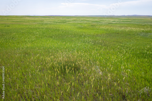 Prairie Wind Overlook in Badland national park during summer. From grassland to valley. Badland landscape South Dakota.