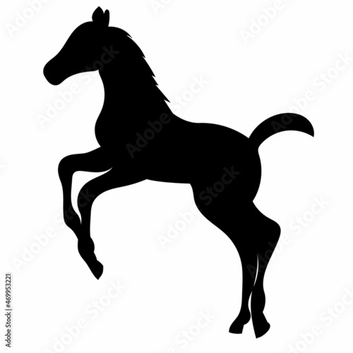 foal black silhouette vector, isolated, on white background