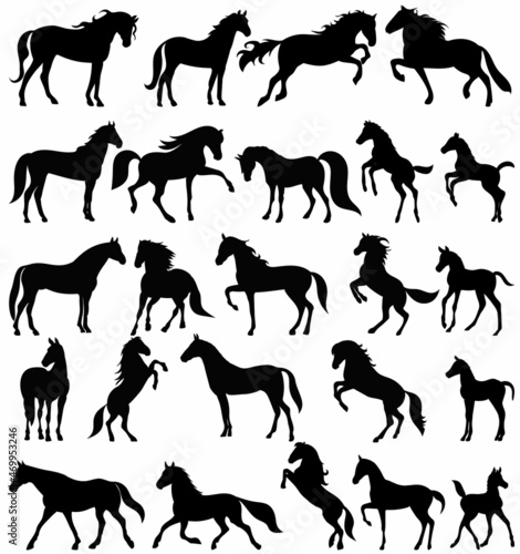horses set, vector silhouette collection, isolated, on white background