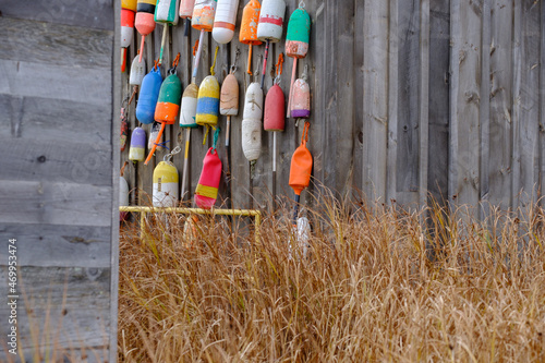фотографія Colorful retired buoys hang on an old Lobster Fishing Shack