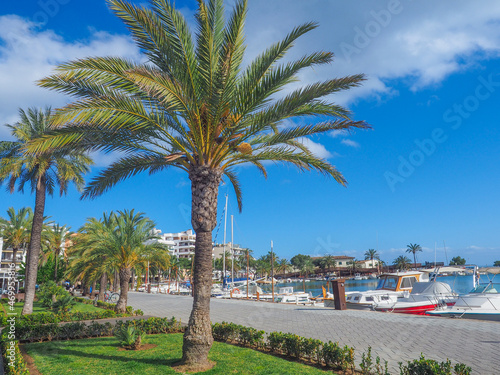 Mallorca - Hafen in Port de Alcudia