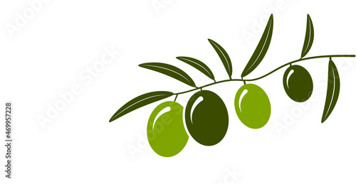 icona, olive, olio d'oliva photo