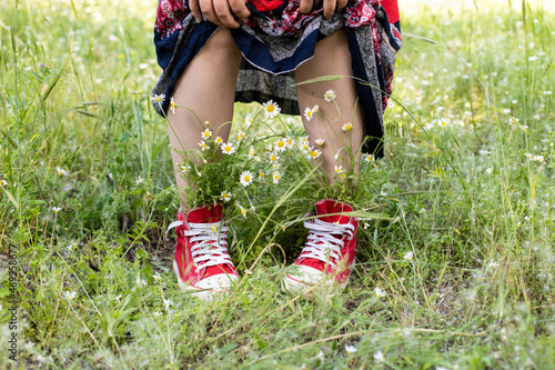 upturned skirt and naked legs in red sneakers with a bouquet of white camomiles in green grass photo