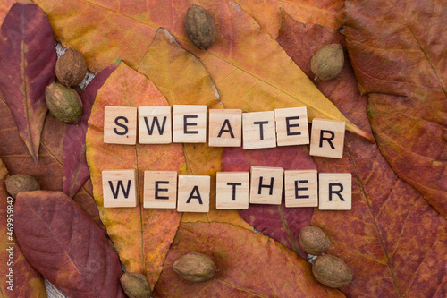 Sweater weather letters with yellow and red leaves and fall fruits. Minimal flat lay Minimal flat lay creative concept. Dried leaves on background.