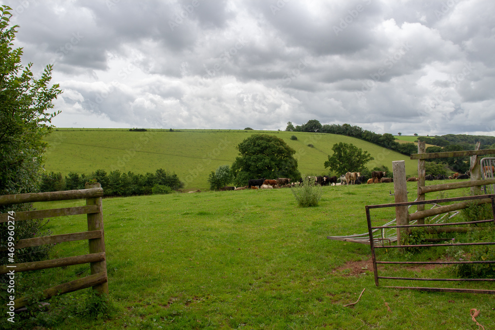 broken wooden fencing and gate with Devon hills and grazing land in the background on a cloudy day