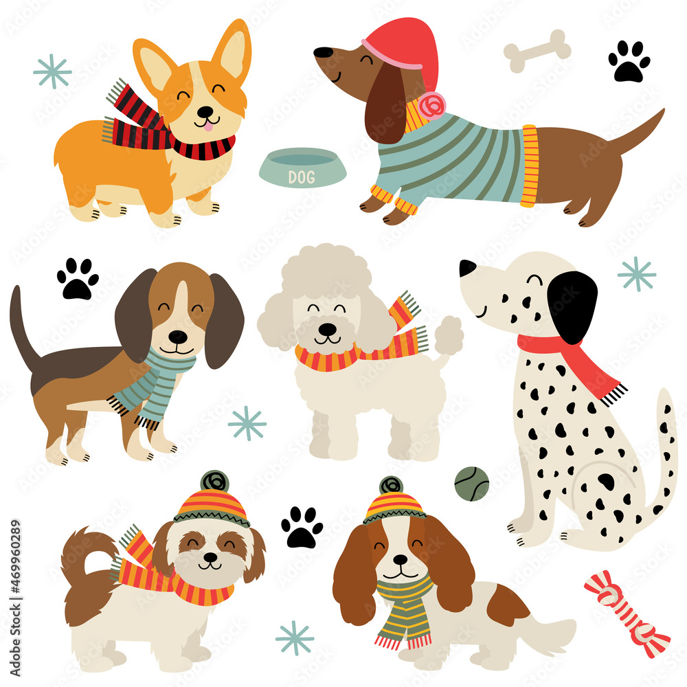 Fototapeta premium set of isolated cute funny dogs in winter