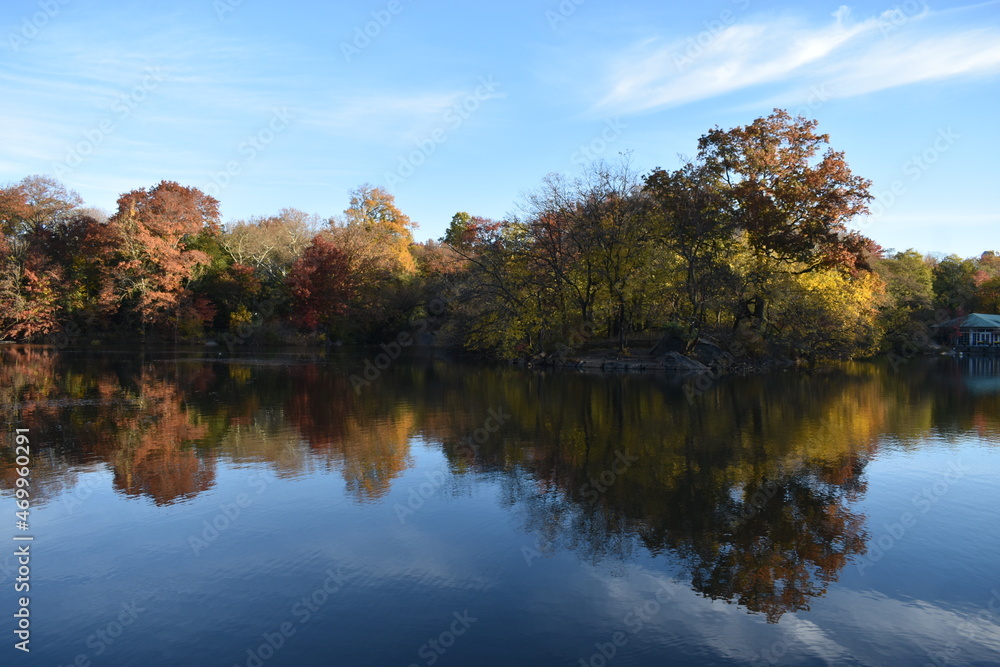 Lake and leaves in fall Lake and leaves in fall