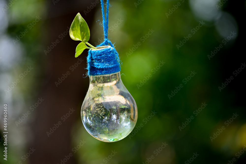 Small money plant the golden pothos in Light Bulb Small money plant the golden pothos in Light Bulb