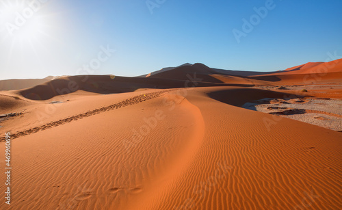 Big orange sand dune with blue sky - Sossusvlei  Namib desert  Namibia  Southern Africa