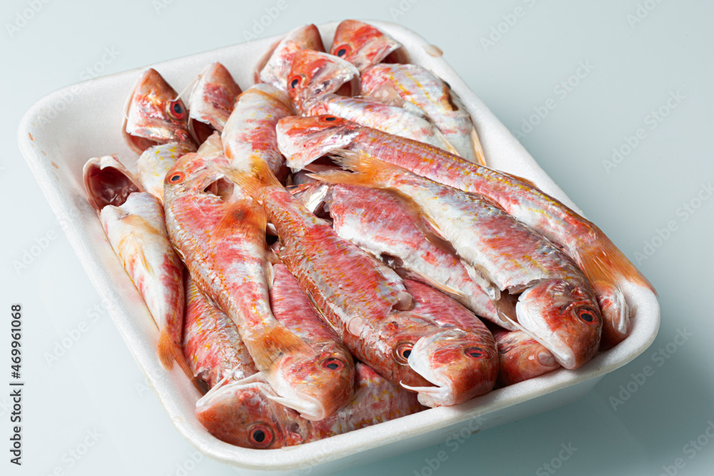 Salmonetes frescos crudos en bandeja. Salmonetes frescos crudos en bandeja.