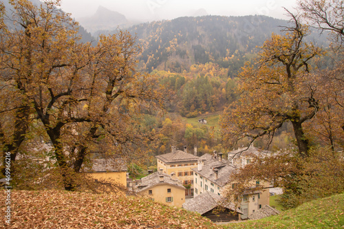The wonderful chestnut season has started.