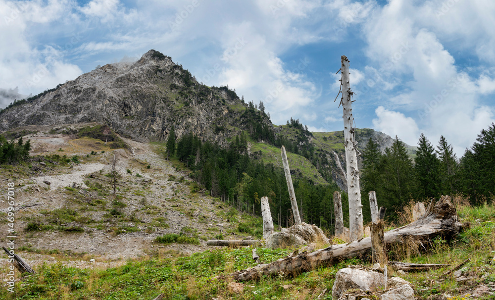 Landschaft und Natur rund um den Vilsalpsee in Tirol, Österreich